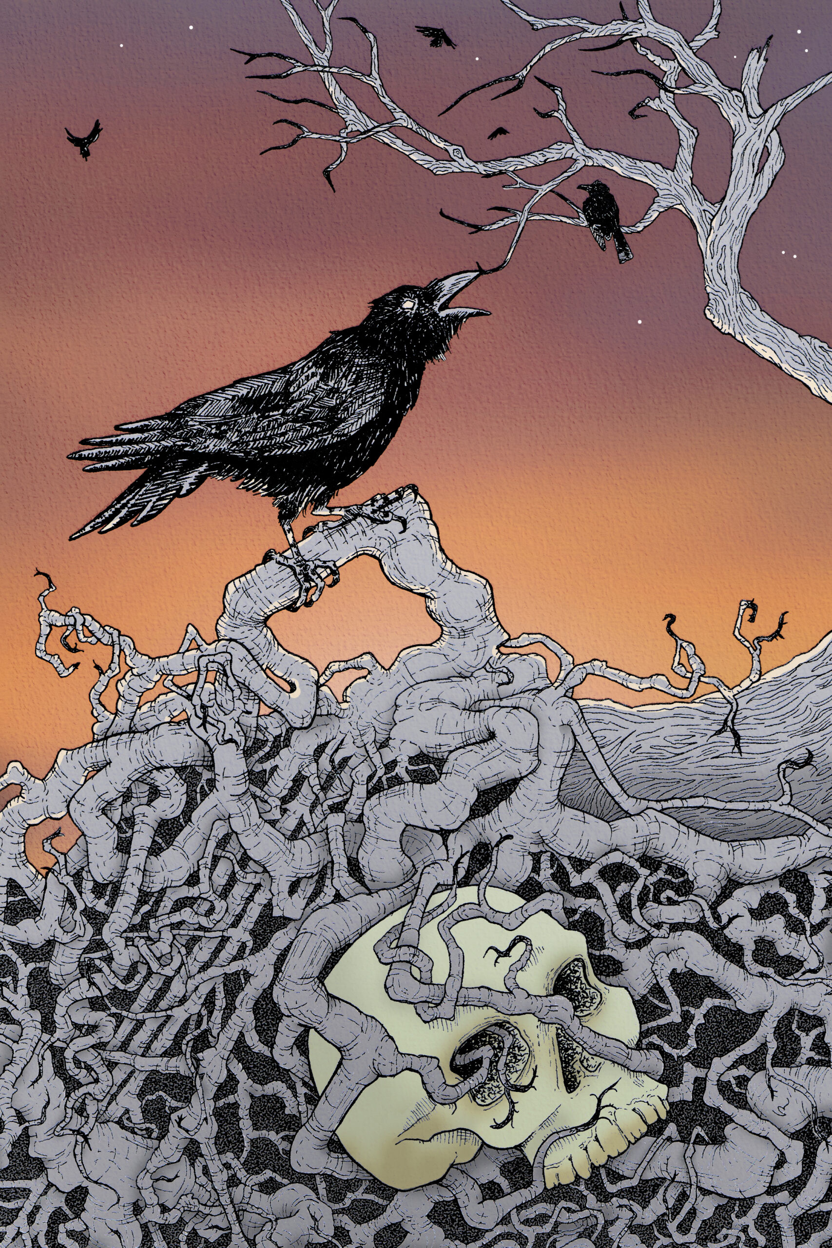 Issue 30
